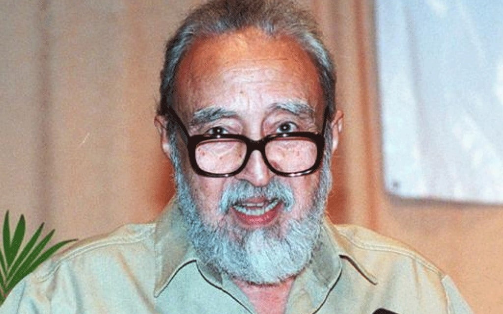 Intellectuals in Developing Societies Syed Hussein Alatas