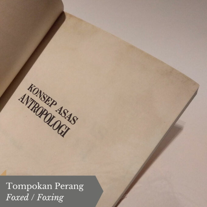 Konsep Asas Antropologi