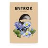 Entrok Entrok